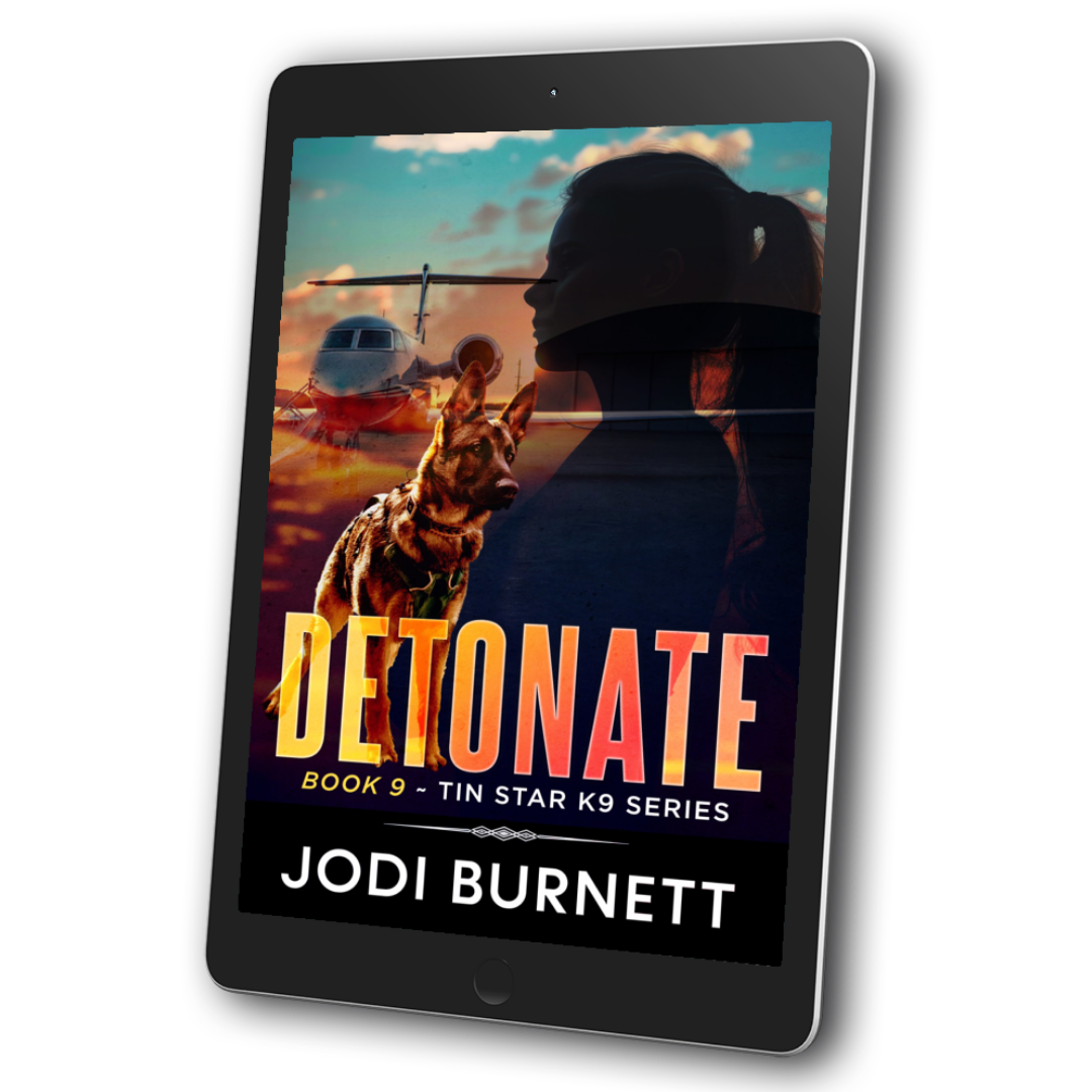 Detonate Book 9 Tin Star Series Jodi Burnett